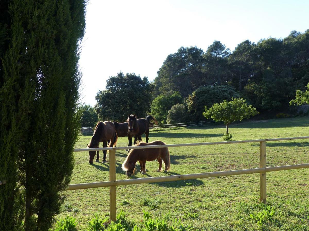 הוילה Entrecasteaux Domaine Des Bruguieres מראה חיצוני תמונה